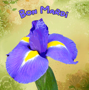 Gif animé Bon mardi fleur bleue